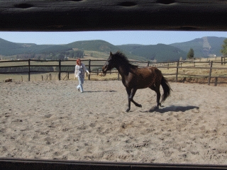 Rounpen